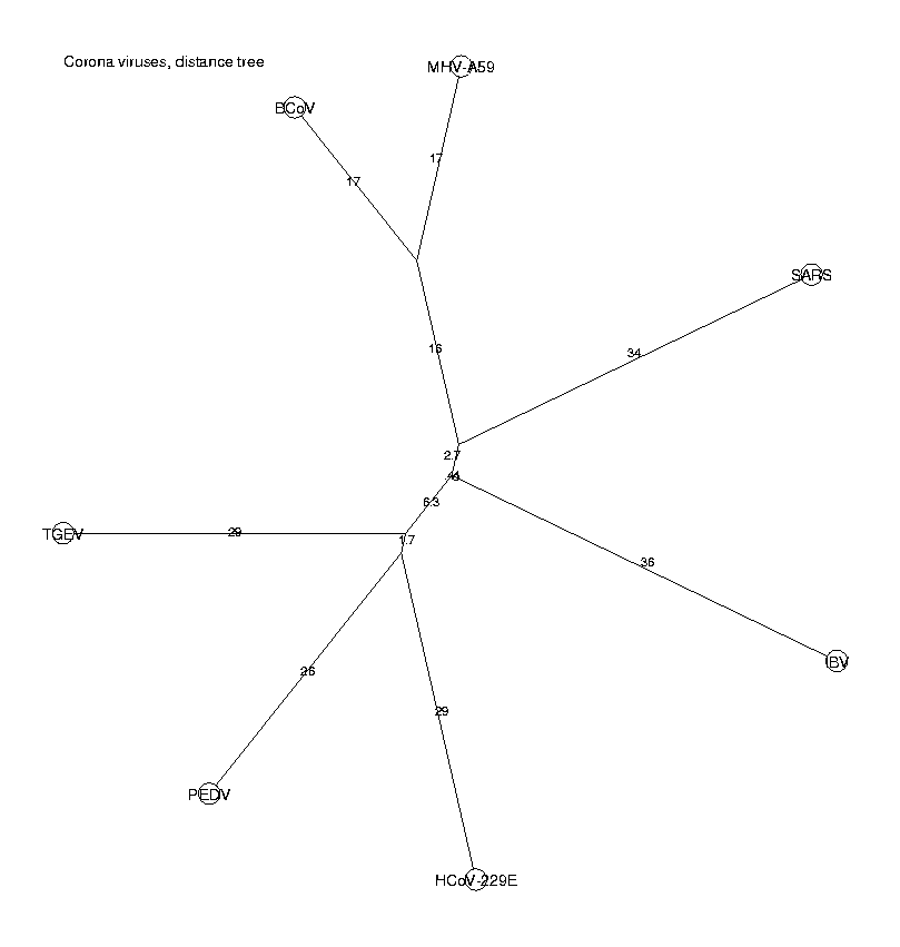 Corona viruses, distance tree