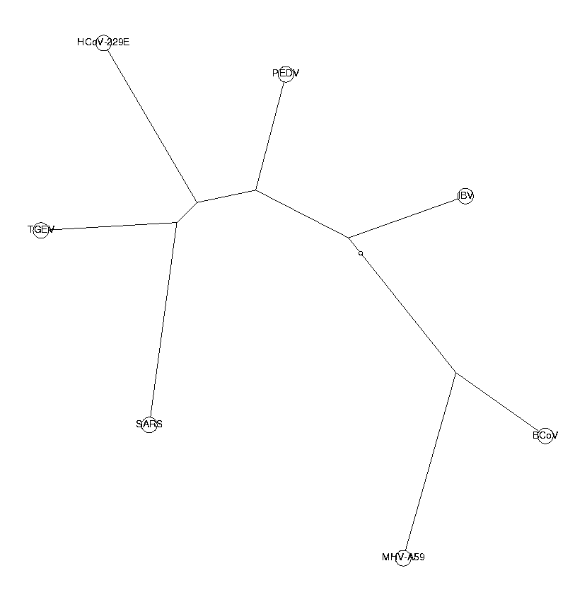 Phylogenetic tree of coronaviruses. trinuc.